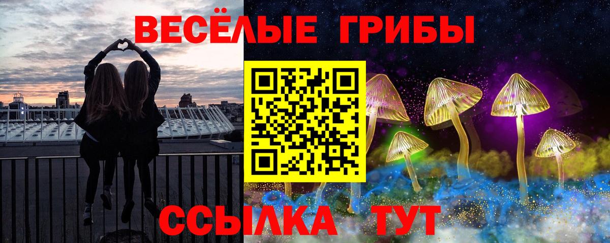Галлюциногенные грибы мухоморы Советская Гавань
